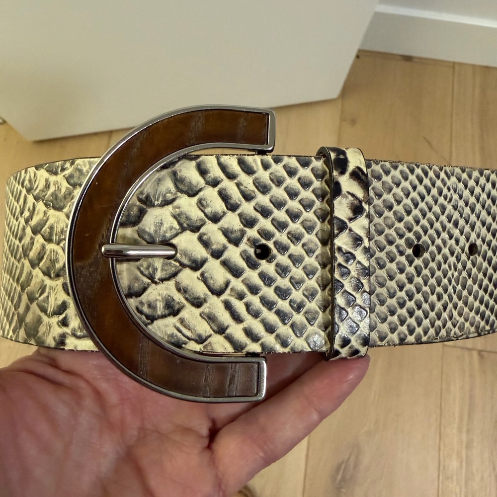 Banana Republic Snakeskin Belt with Brown Wood look and Silver Buckle - Picture 14 of 14